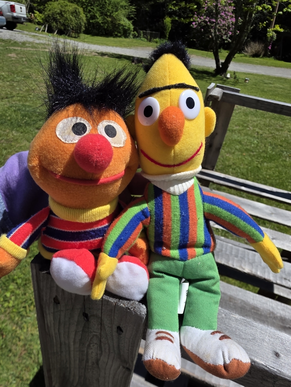 Sesame Street Bert and Ernie A Plush Doll SetBert 2003 Ernie 1997